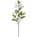 30" Laurel Leaf Artificial Stem -Green (Pack of 12) - PSH202-GR
