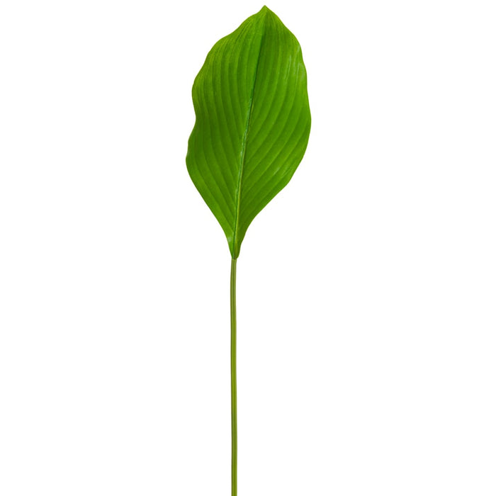 25" Silk Hosta Leaf Stem -Green (pack of 12) - PSH323-GR