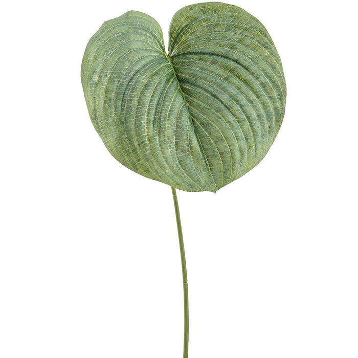 30" Hosta Leaf Silk Stem -Frosted Green (Pack of 12) - PSH437-GR/FS