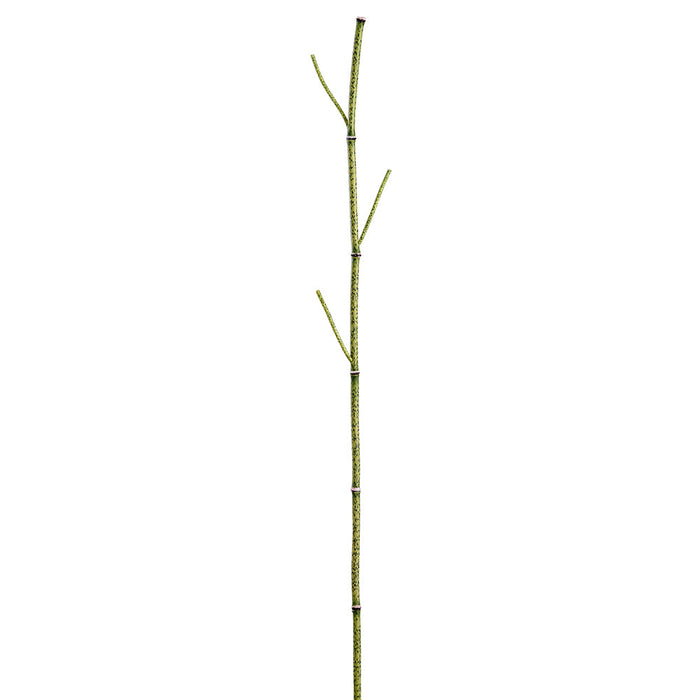 41.5" Horsetail Artificial Stick -Green (Pack of 12) - PSH534-GR