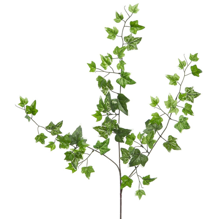 22" Silk Mini Ivy Leaf Stem -Variegated (Pack of 12) - PSI226-VG