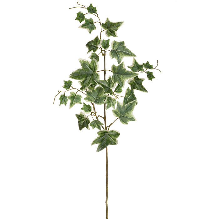 28.5" Ivy Leaf Silk Stem -Green/Cream (Pack of 12) - PSI339-GR/CR