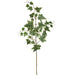 28.5" Ivy Leaf Silk Stem -Green/Cream (Pack of 12) - PSI339-GR/CR