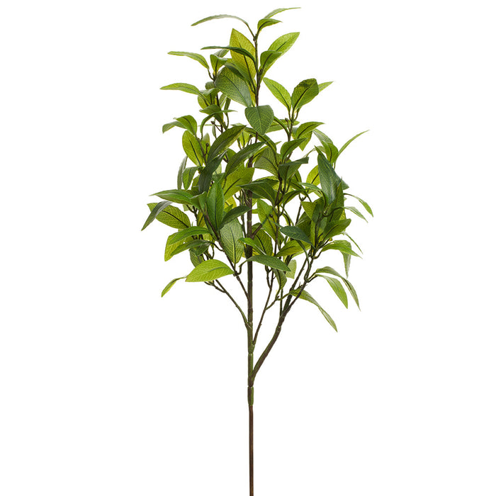 28" Laurel Leaf Silk Stem -Green (Pack of 12) - PSL054-GR