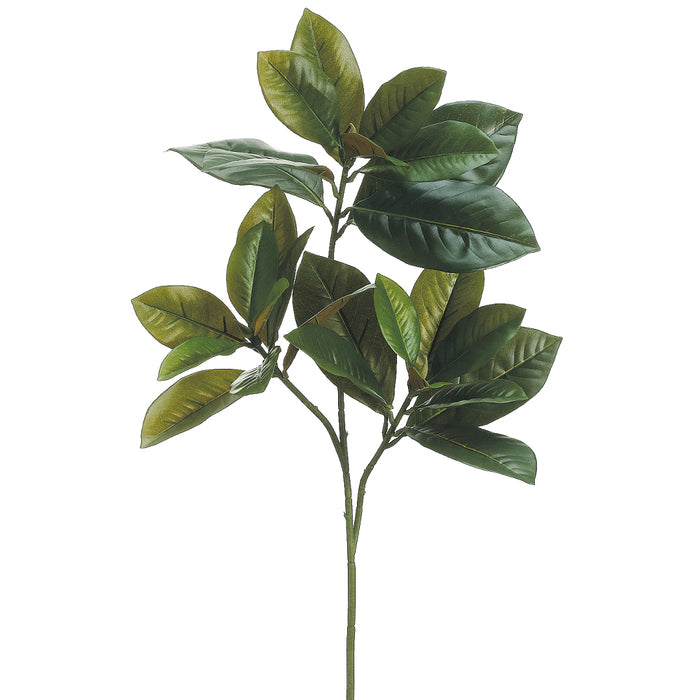 26" Magnolia Leaf Silk Stem -Green (Pack of 12) - PSL200-GR
