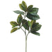 26" Magnolia Leaf Silk Stem -Green (Pack of 12) - PSL200-GR