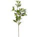 25" Laurel Leaf & Berry Silk Stem -Green/Cream (Pack of 12) - PSL637-GR/CR
