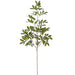 37.5" Locust Leaf Silk Stem -Green (Pack of 24) - PSL819-GR