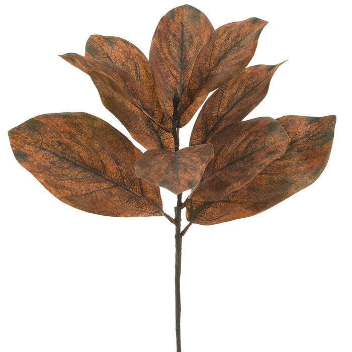25" Artificial Magnolia Leaf Stem -Brown (Pack of 12) - PSM037-BR