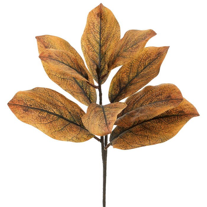 25" Artificial Magnolia Leaf Stem -Tan (Pack of 12) - PSM037-TN