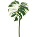 44" Split Philodendron Monstera Leaf Silk Stem -Green/Cream (Pack of 12) - PSM127-GR/CR