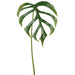 35.5" Monstera Dilacerata Split Philodendron Leaf Silk Stem -Green (Pack of 12) - PSM193-GR
