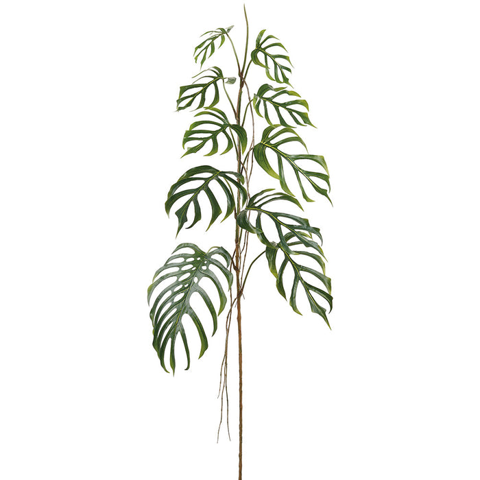 philodendron branch 75" Monstera Dilacerata Split Philodendron Leaf Silk Branch Stem -Green (Pack of 2)