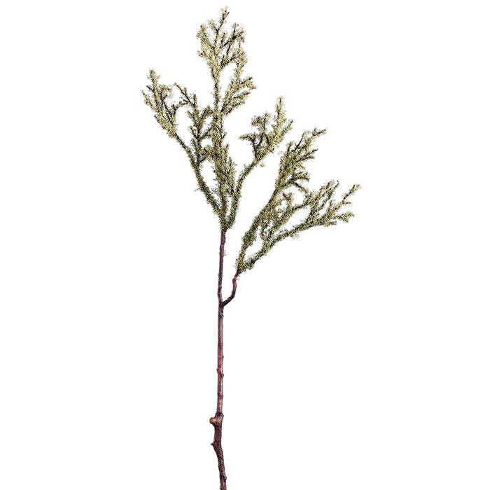 25" Artificial Moss Stem -Gray (pack of 12) - PSM289-GY