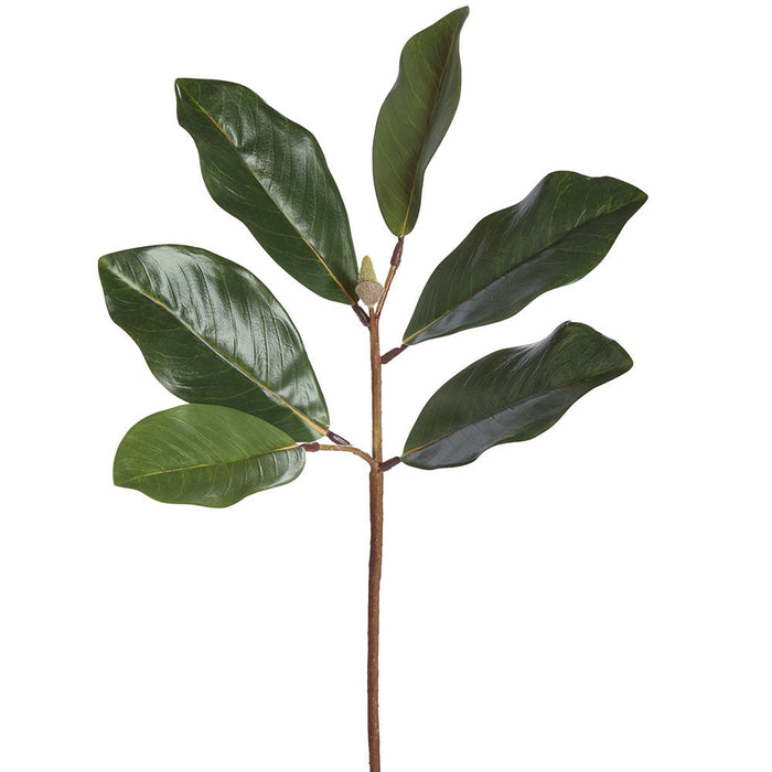 19.5" Silk Magnolia Leaf Stem -Green (pack of 12) - PSM291-GR