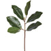 19.5" Silk Magnolia Leaf Stem -Green (Pack of 12) - PSM291-GR