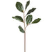 33" Silk Magnolia Leaf Stem -Green (pack of 12) - PSM292-GR