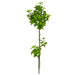 42.5" Silk Mint Leaf Herb Branch Stem -Green (pack of 4) - PSM304-GR