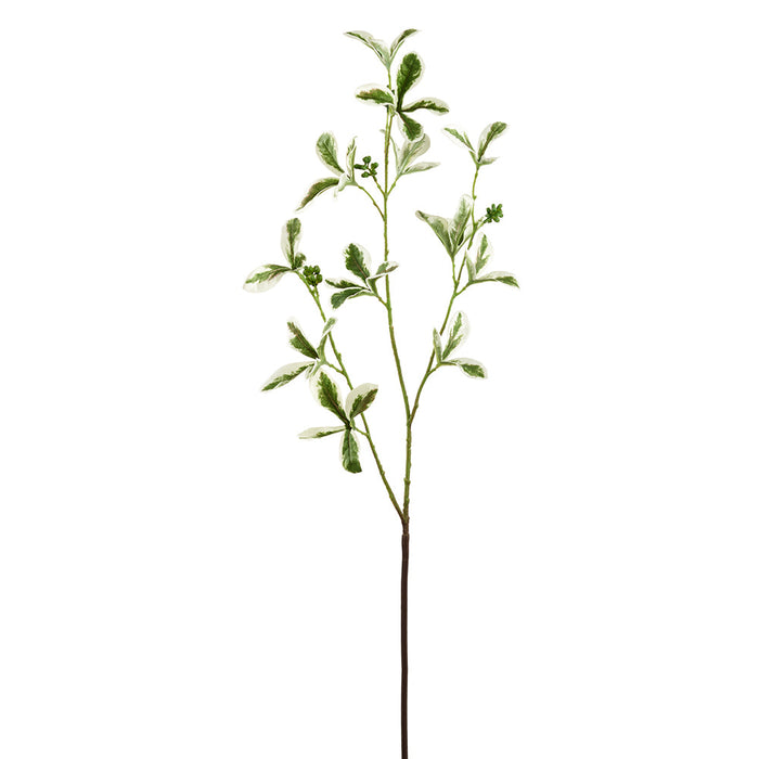 30.3" Silk Madagascar Almond Leaf Tree Branch Stem -Green/Cream (Pack of 12) - PSM345-GR/CR