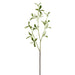 30.3" Silk Madagascar Almond Leaf Tree Branch Stem -Green/Cream (Pack of 12) - PSM345-GR/CR