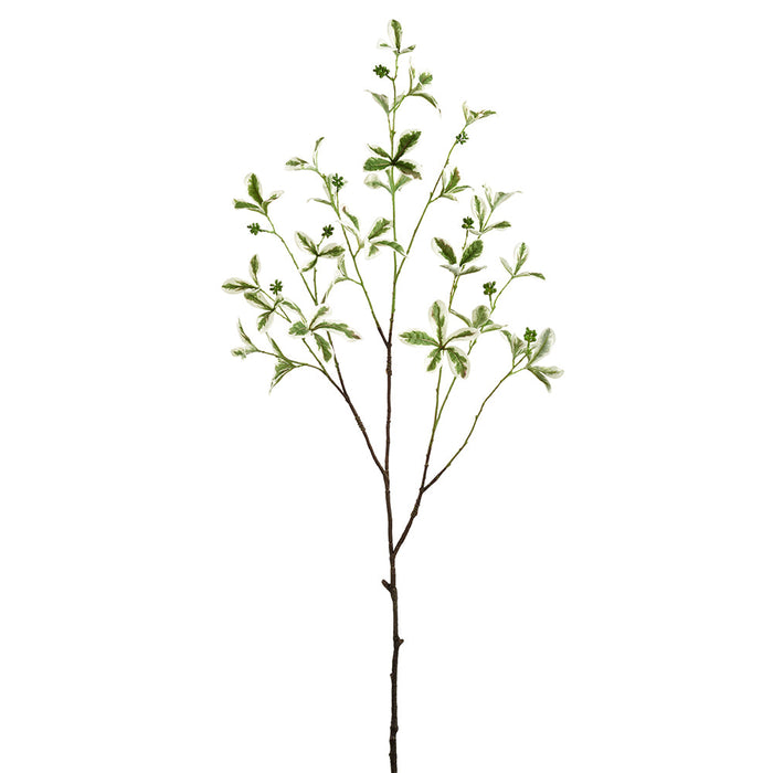42.9" Silk Madagascar Almond Leaf Tree Branch Stem -Green/Cream (Pack of 12) - PSM346-GR/CR