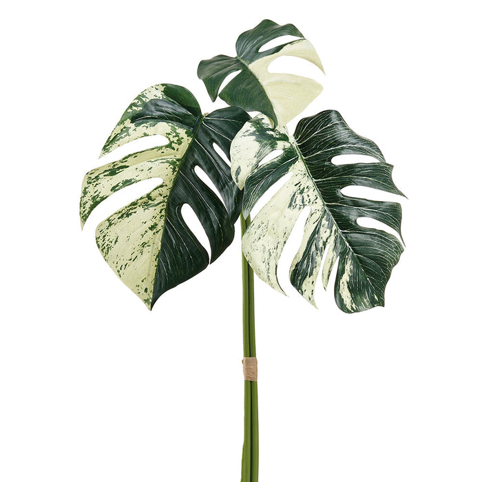 faux stem split leaf philodendron 34" Monstera Split Philodendron Leaf Silk Stem Bundle -Green/Cream (Pack of 6)