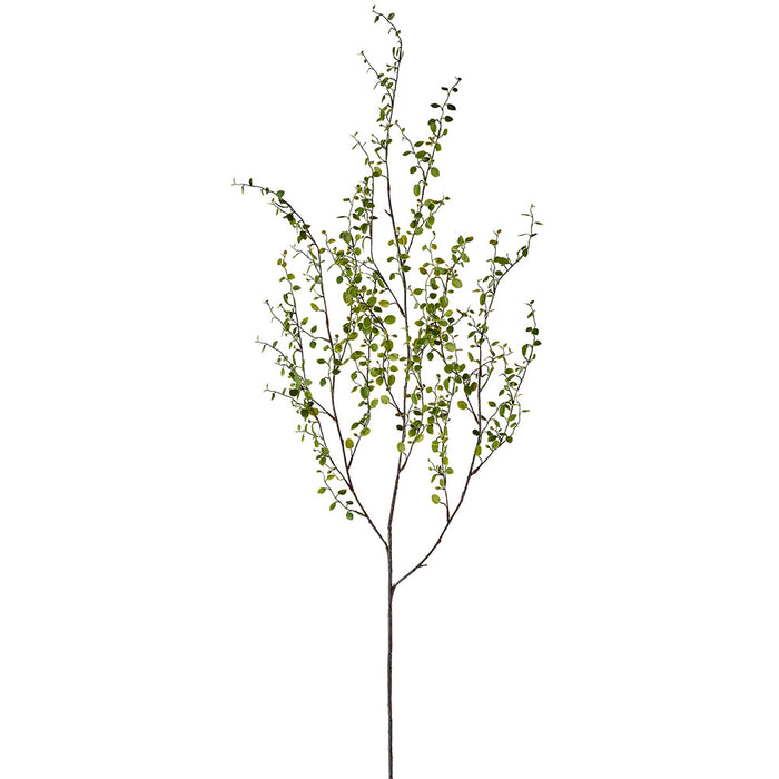 42" Muehlenbeckia Wire Leaf Silk Stem -Green (Pack of 12) - PSM521-GR