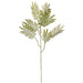 24" Silk Mimosa Leaf Stem -Green (pack of 12) - PSM522-GR