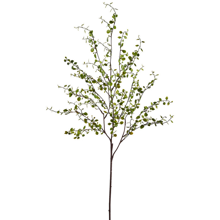 37" Muehlenbeckia Wire Leaf Silk Stem -Green (Pack of 12) - PSM543-GR