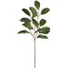 32" Artificial Magnolia Leaf Stem -Green (Pack of 12) - PSM547-GR