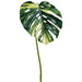 42.5" Monstera Split Philodendron Leaf Silk Stem -Green/Yellow (Pack of 12) - PSM601-GR/YE
