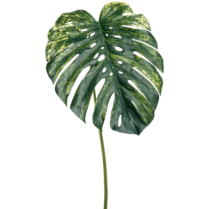 56" Monstera Split Philodendron Leaf Silk Stem -Green/Yellow (Pack of 6) - PSM602-GR/YE