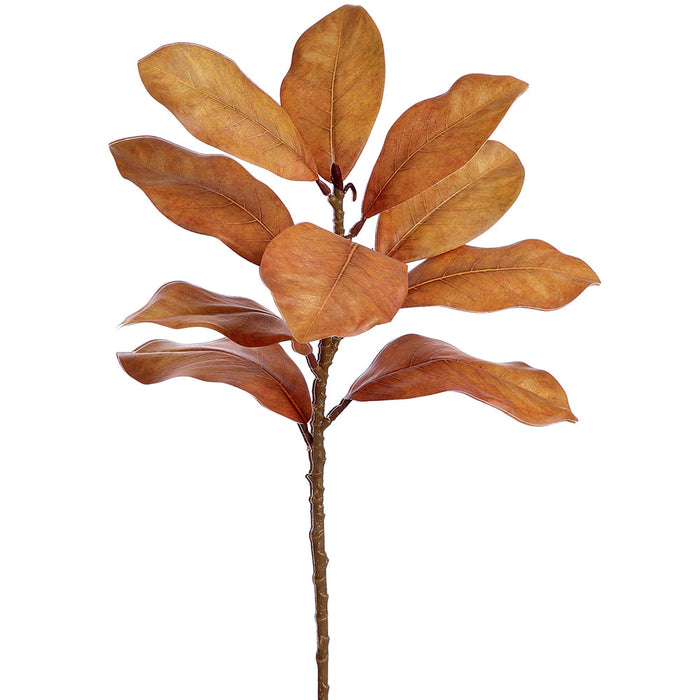 21.5" Magnolia Leaf Silk Stem -Brown (Pack of 12) - PSM603-BR