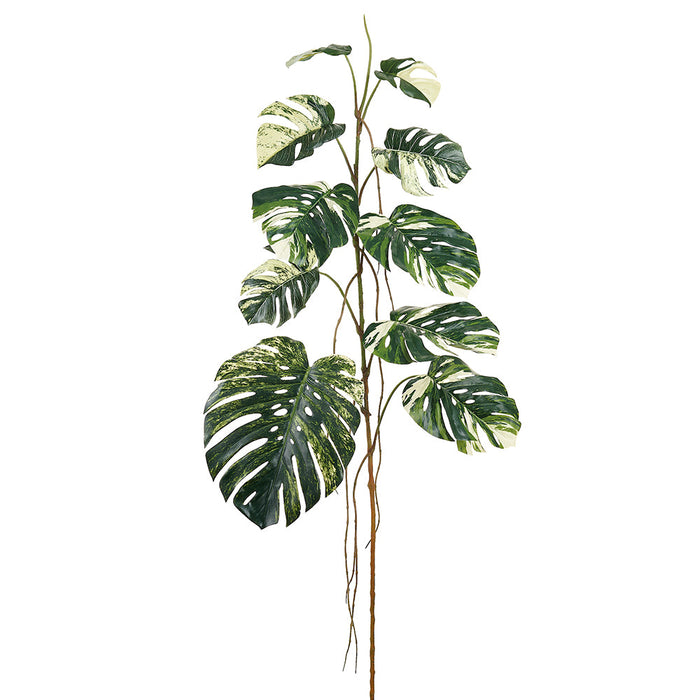 75" Monstera Split Philodendron Leaf Silk Branch Stem -Green/Cream (Pack of 2) - PSM610-GR/CR