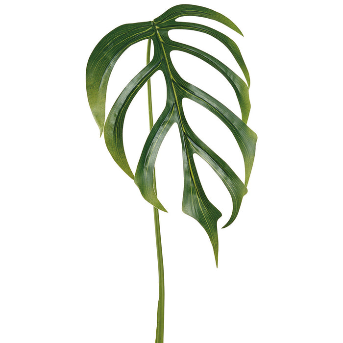 42" Monstera Dilacerata Split Philodendron Leaf Silk Stem -Green (Pack of 12) - PSM621-GR