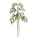 56" Monstera Dilacerata Split Philodendron Leaf Silk Branch Stem -Green (Pack of 2) - PSM627-GR