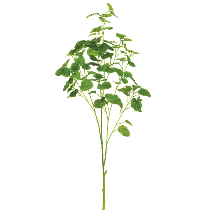 42" Mint Leaf Herb Silk Stem -2 Tone Green (pack of 12) - PSM631-GR/TT