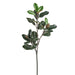 35.5" Silk Magnolia Leaf Stem -Green (pack of 12) - PSM665-GR