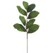 26" Magnolia Leaf Silk Stem -Green (pack of 24) - PSM867-GR