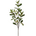 44" Photinia Leaf With Blossom Silk Stem -Green (Pack of 8) - PSP009-GR