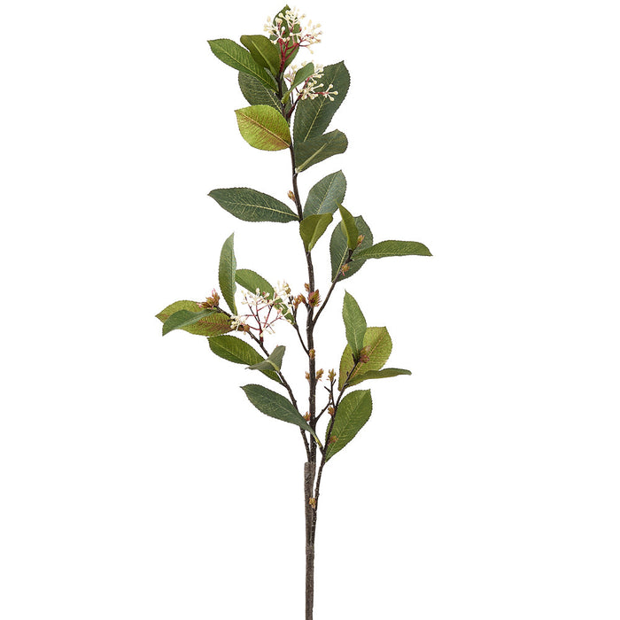33" Photinia Leaf With Blossom Silk Stem -Green (Pack of 12) - PSP010-GR