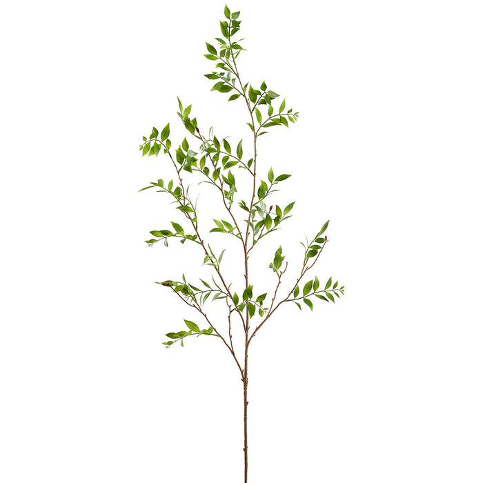 55" Broadleaf Podocarpus Leaf Silk Branch Stem -Green (Pack of 12) - PSP173-GR