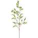 55" Broadleaf Podocarpus Leaf Silk Branch Stem -Green (Pack of 12) - PSP173-GR