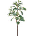 27" Peperomia Leaf Silk Stem -Green (Pack of 12) - PSP495-GR