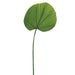 31" Fan Palm Leaf Silk Stem -Green (Pack of 12) - PSP623-GR