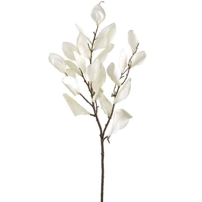 29.5" Silk Protea Leaf Stem -Cream (pack of 12) - PSP713-CR