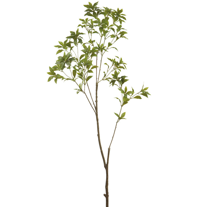 59" Pieris Japonica Leaf Silk Stem -Green (Pack of 12) - PSP750-GR