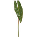 32" Medium Philodendron Spiritus Sancti Leaf Silk Stem -Green (Pack of 12) - PSP802-GR