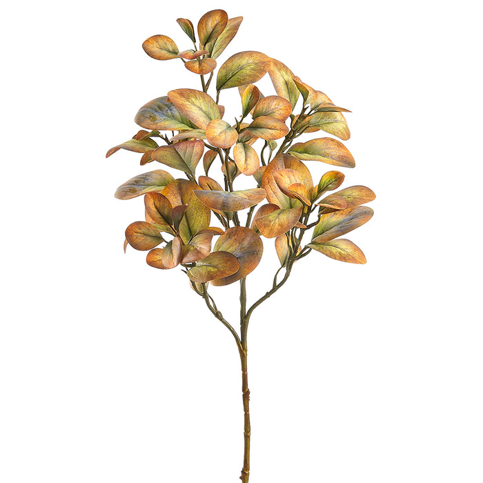 23.5" Silk Peperomia Leaf Stem -Mustard/Green (pack of 12) - PSP857-MD/GR