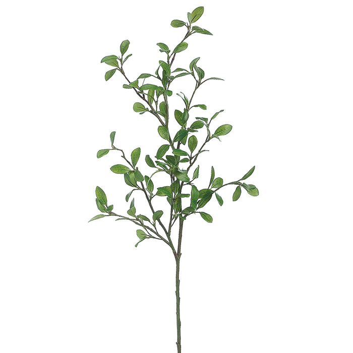 42" Silk Rose Myrtle Leaf Stem -Green (pack of 12) - PSR061-GR